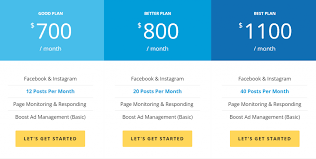 social media marketing agency pricing