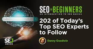 freelance seo expert