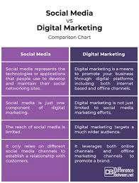 online and social media marketing