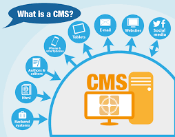cms website development